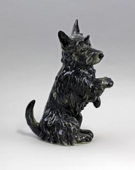 Terrier sitzend schwarz