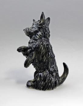 Terrier sitzend schwarz