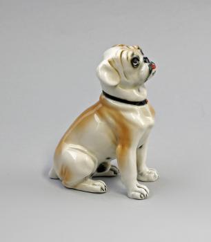 kleine Bulldogge hellbraun gefleckt