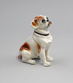 kleine Bulldogge rotbraun gefleckt