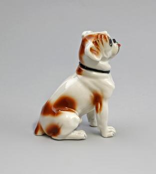 kleine Bulldogge rotbraun gefleckt
