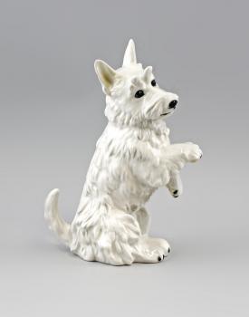 Terrier weiß