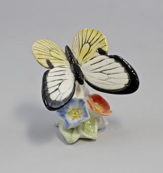 Schmetterling Kohlweißling mit Blüte