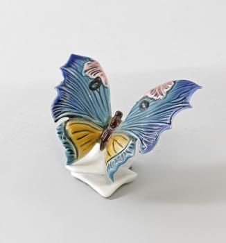 Schmetterling blau