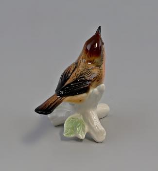 Rotkehlchen
