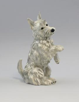 Terrier grau