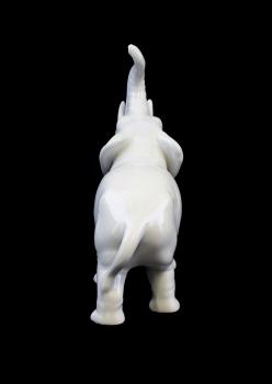 Elefant