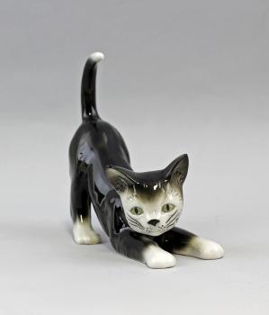 Katze sich streckend schwarz