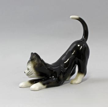 Katze sich streckend schwarz