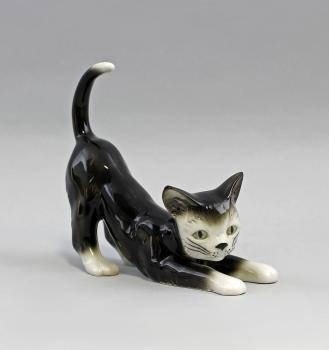 Katze sich streckend schwarz