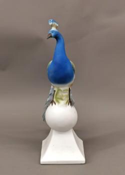 Sonderposten Pfau