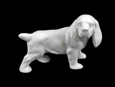 Kleiner Spaniel Bisquit