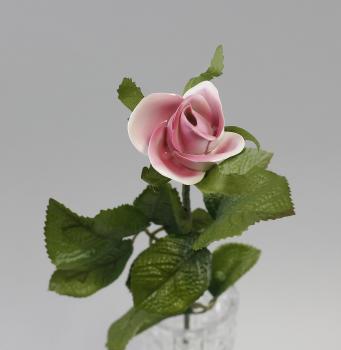 Porzellan - Stielrose rosa