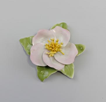 Tischblume Wildrose