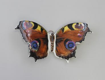 Schmetterling Pfauenauge braun