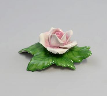 Tischblume Rose klein weiß / rosa