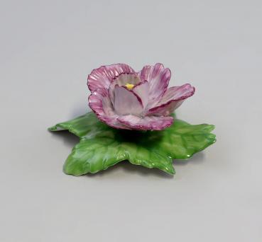 Tischblume Rose violett