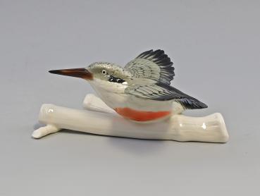 Wandvase Rotbrust-Eisvogel