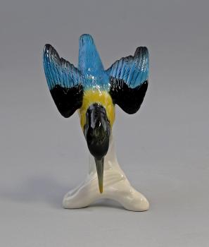 blaugelber Eisvogel Stürzer