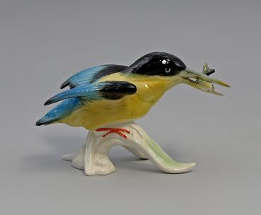 blaugelber Eisvogel fliegend Fisch