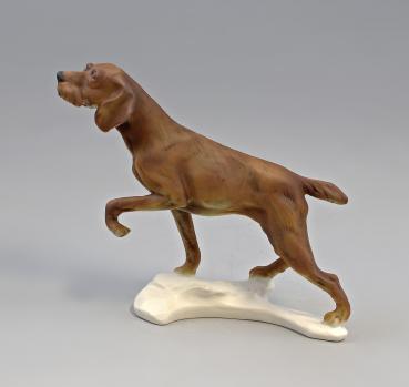 Jagdhund bunt