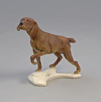 Jagdhund bunt