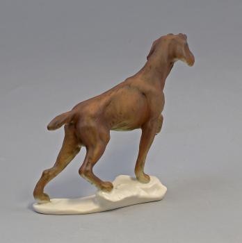 Jagdhund bunt