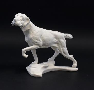 Jagdhund weiß