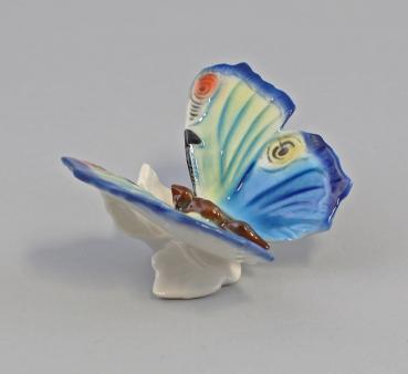 Schmetterling Sockel blau