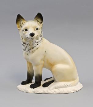 Polar-Fuchs bunt