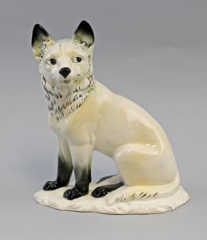 Polar-Fuchs