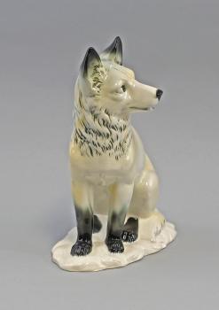 Polar-Fuchs