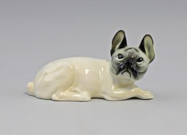 Französische Bulldogge beige