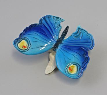 Schmetterling