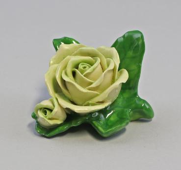 Tischrose Knospe groß gelb grün