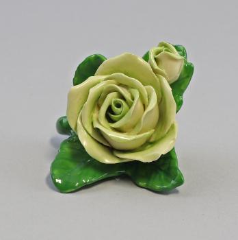 Tischrose Knospe groß gelb grün