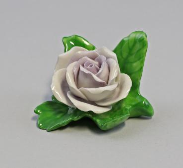 Tischrose groß hellviolett