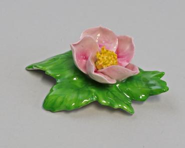 Tischblume Wild-Rose rosa