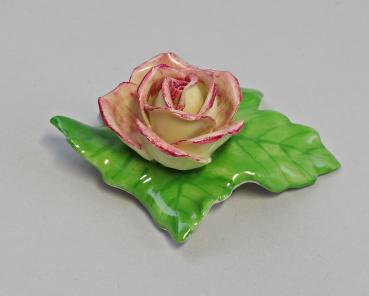 Tischblume Wild-Rose gelb purpur