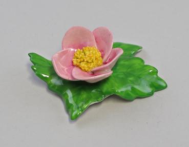 Tischblume Wild-Rose gelb purpur