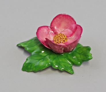 Tischblume Wild-Rose purpur
