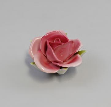 Rosa Tischrose Kämmer