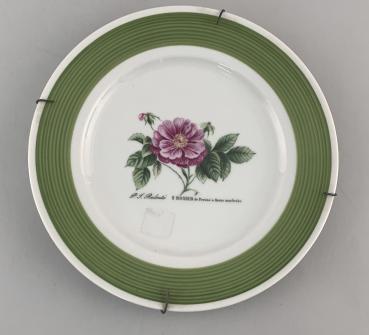 Porzellan Bildteller Hutschenreuther Rosenblüte lateinisch beschr