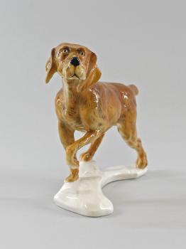 Jagdhund