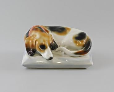Basset / Dackel / Hund