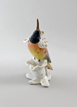 Kolibri