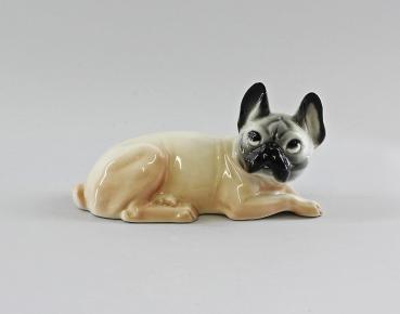 Französische Bulldogge beige