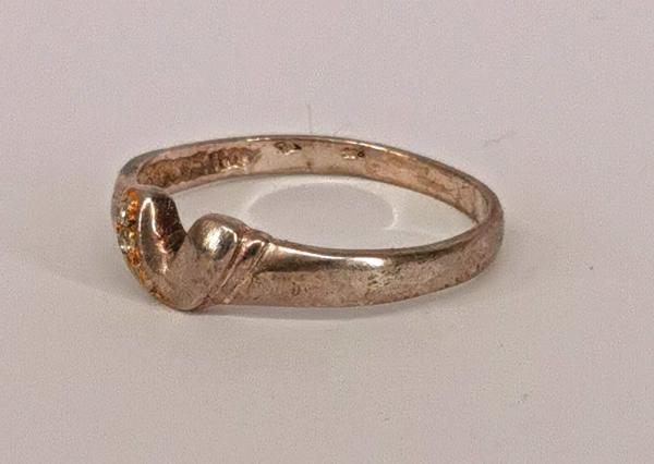 Bicolor-Ring