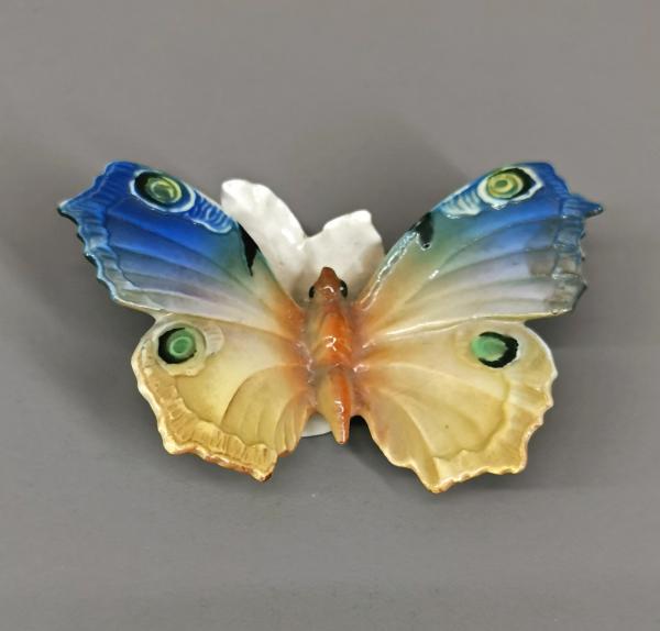 Schmetterling Ens