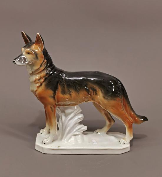 Schäferhund